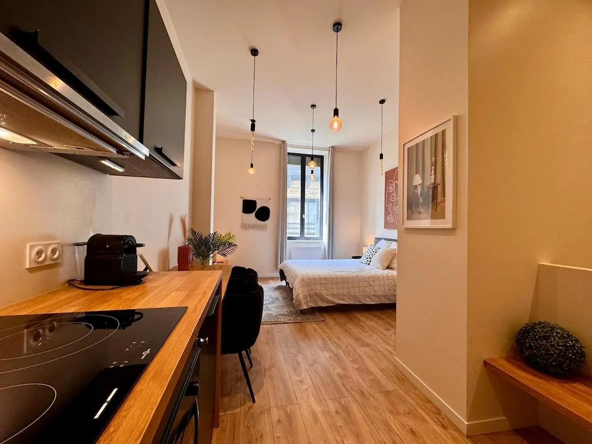 Apartment Suite Coachela Lyon France